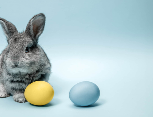 Kursfreie Zeit Ostern