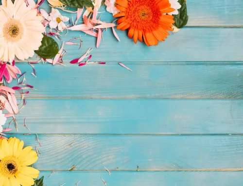 Sommer – kursfreie Zeit